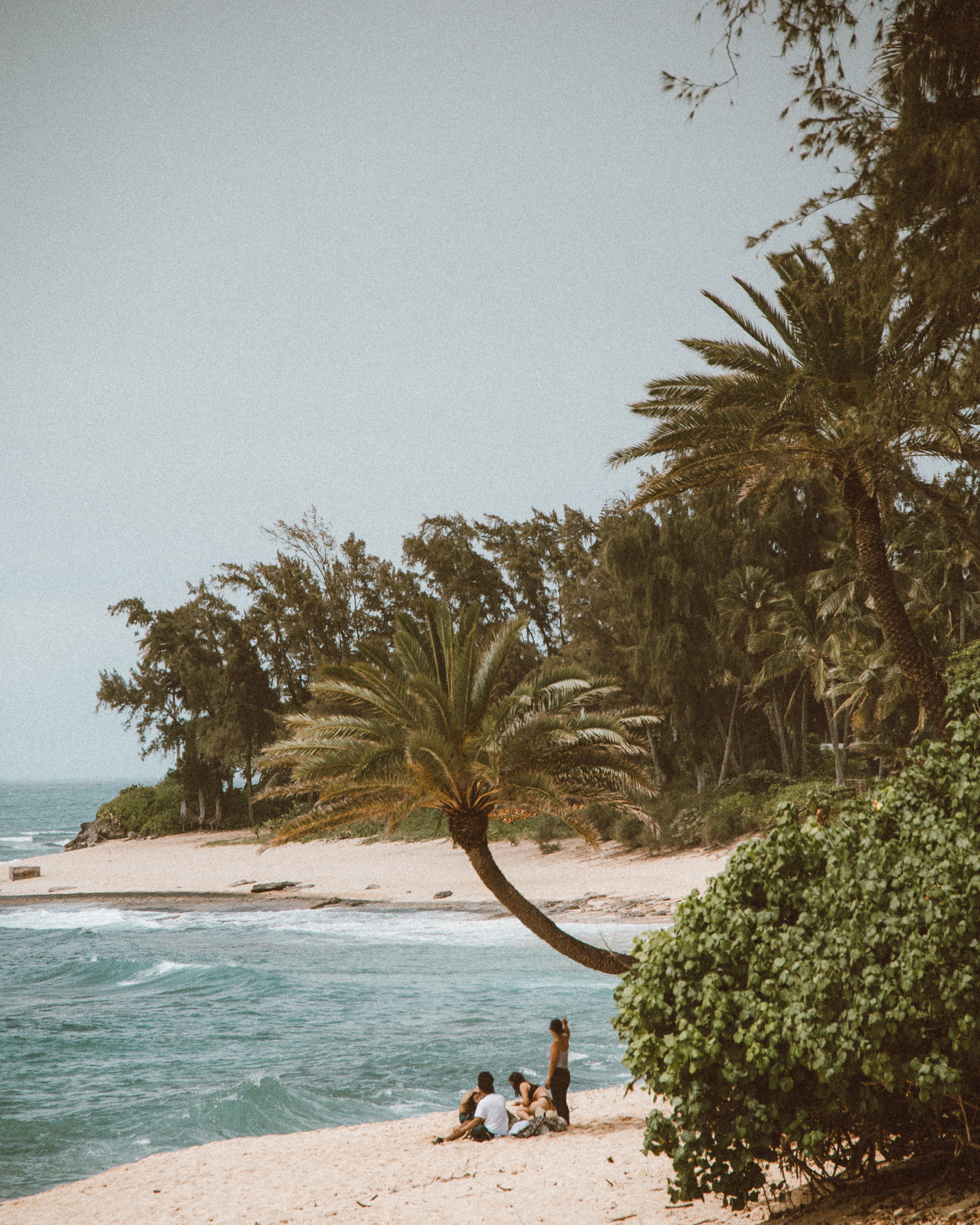 Summer beach with people on the sand and palm trees